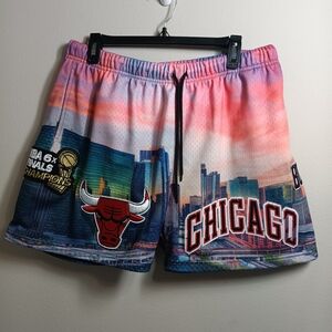 Chicago Bulls 6x Champions Mesh Shorts | Skyline Graphic | Size XL